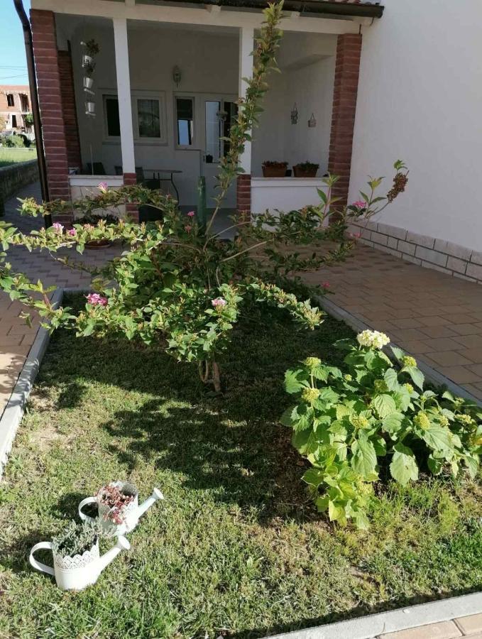 Apartmani B&S Barbat na Rabu ภายนอก รูปภาพ